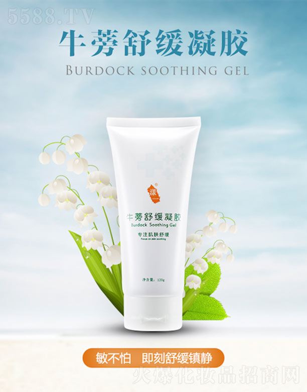 �������＼�g(sh��)�����ݣ����޹�˾����һţ���澏���z