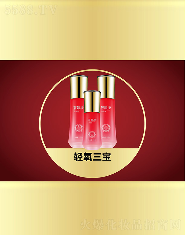 �V���f(w��n)�Z��(gu��)�H����Ƽ����޹�˾��ܽ���p������