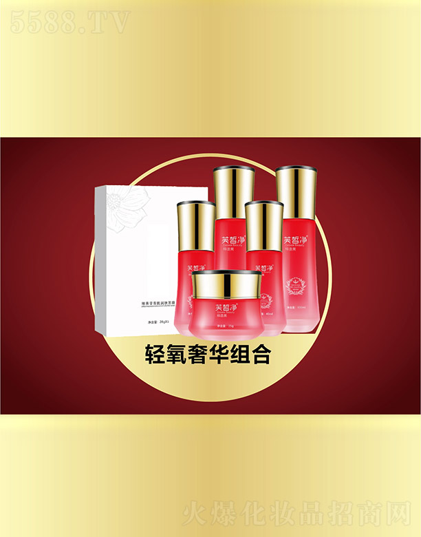 �V���f(w��n)�Z��(gu��)�H����Ƽ����޹�˾��ܽ���p�����A�M��