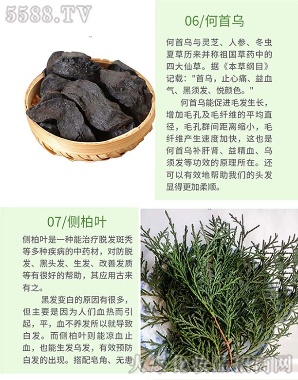 Ȫ���ֿ��t(y��)ˎ���޹�˾���l(f��)ѾѾ�ݱ�ֲ�����ϴ�l(f��)�飨���מ�����(c��)���~��