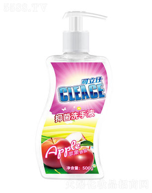 ���K���V�ջ����F(tu��n)�ɷ����޹�˾�������ˣ�CLEACE)ϴ��Һ�O�����500g