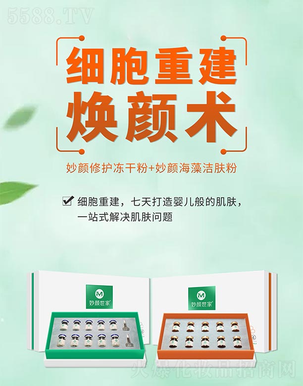 �V���ГP����Ƽ����޹�˾���������������o���ɷ�+����坍�w��