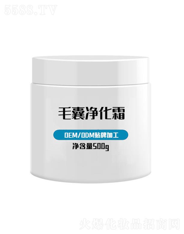 �V�݌��m����Ƽ����޹�˾��ë���坍˪ 500g