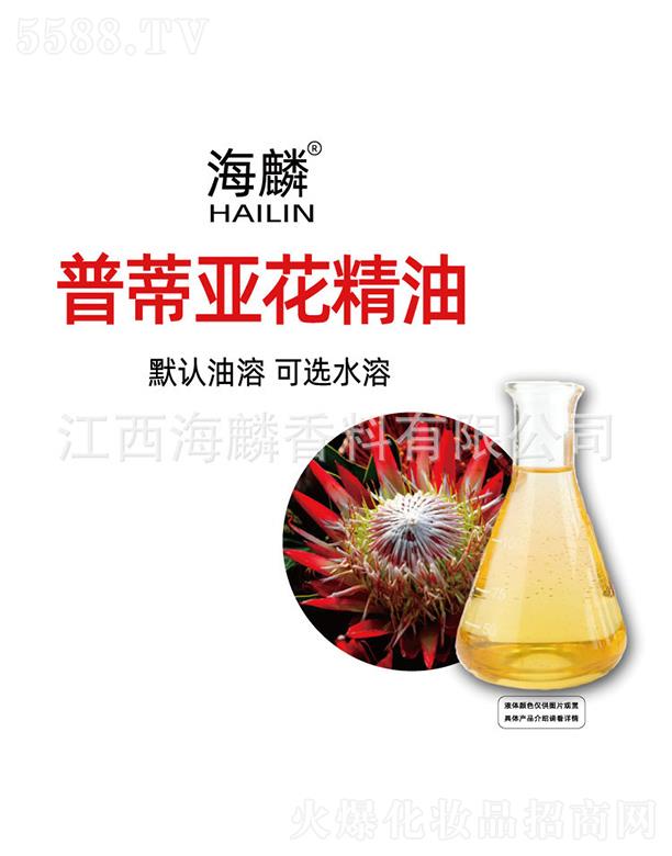 ���������㾫���޹�˾�������յف�������