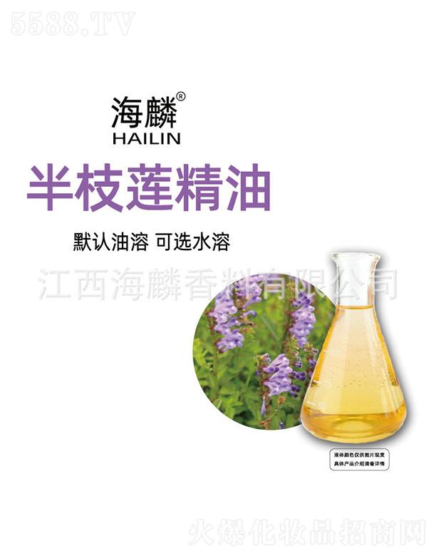 ���������㾫���޹�˾�������֦ɏ����