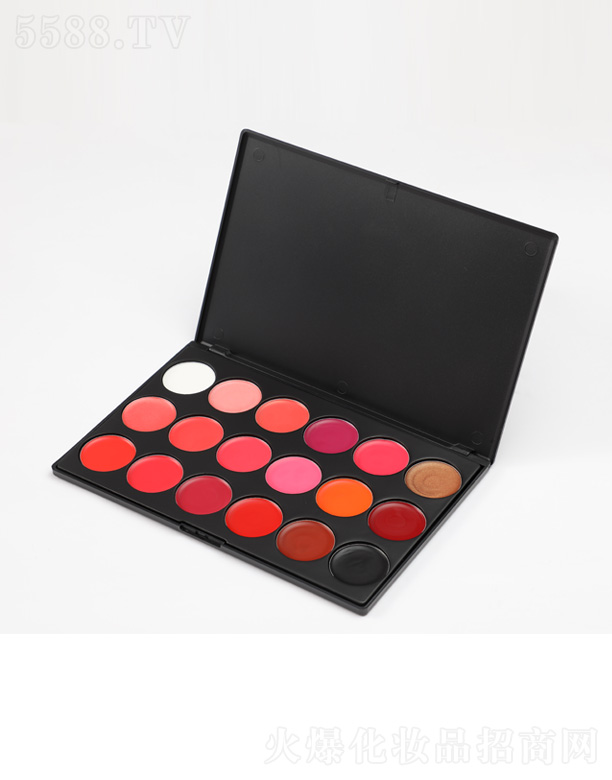 �V�݄�(chu��ng)�����yƷ���޹�˾��PMA 18ɫ�ڼt