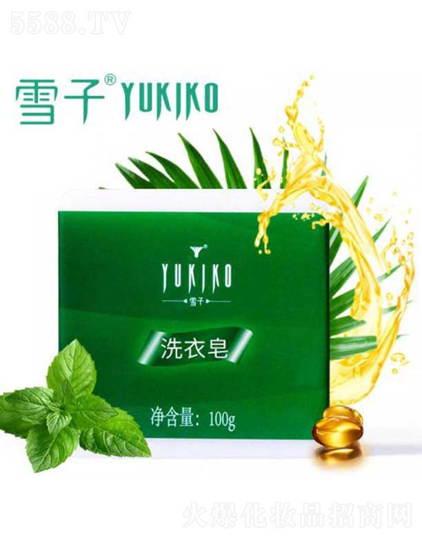 ѩ������Ƽ�(����)���޹�˾��ѩ��ϴ����