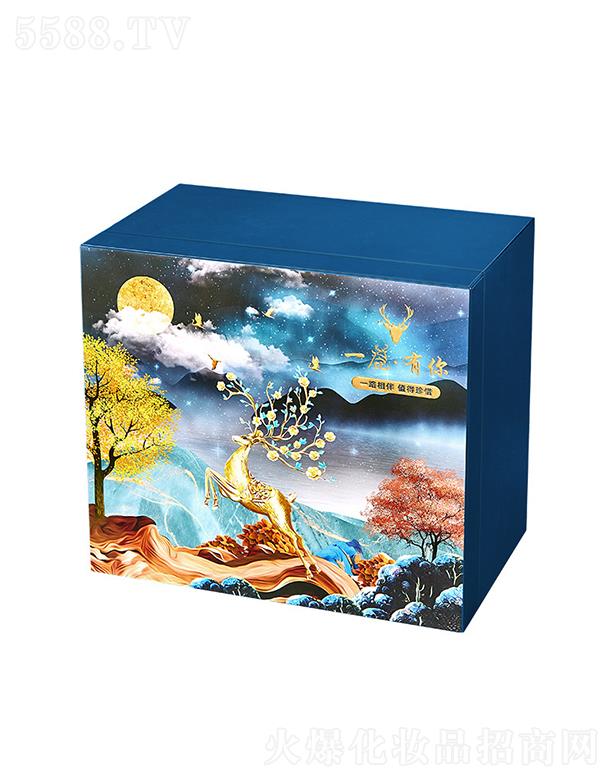 �|ݸ����ɭ����朹������޹�˾��һ¹�����̽��@���y�����Y��