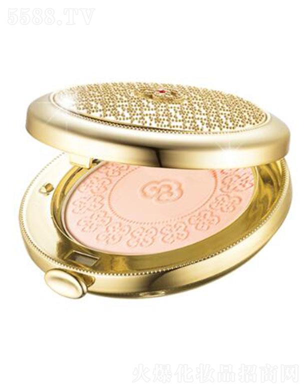 ����������Q��(�Ϻ�)���޹�˾�����������񭂷����� 13g�������w�������⾀����