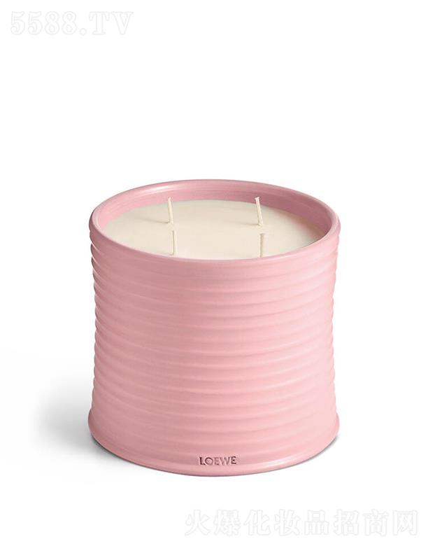 ·����܎��ˮ���yƷ(�Ϻ�)���޹�˾��LOEWE��̖�������㾫Ϟ�T 100����