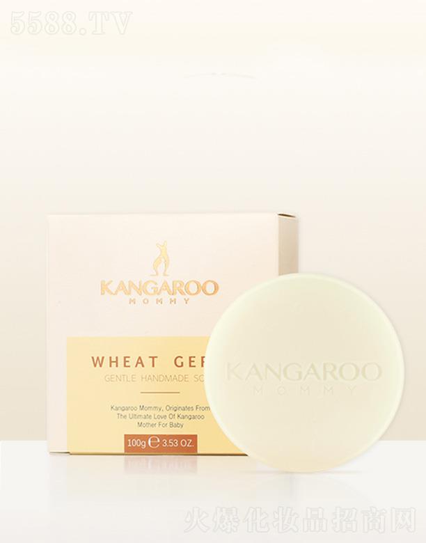 �V�ݐ�(��i)�����Ƽ����޹�˾�����󋌋�С����ѿ�坙(r��n)���w�� 100g�ӌ�ጷ�����ˮ���x�輡�wˮ��(r��n)����