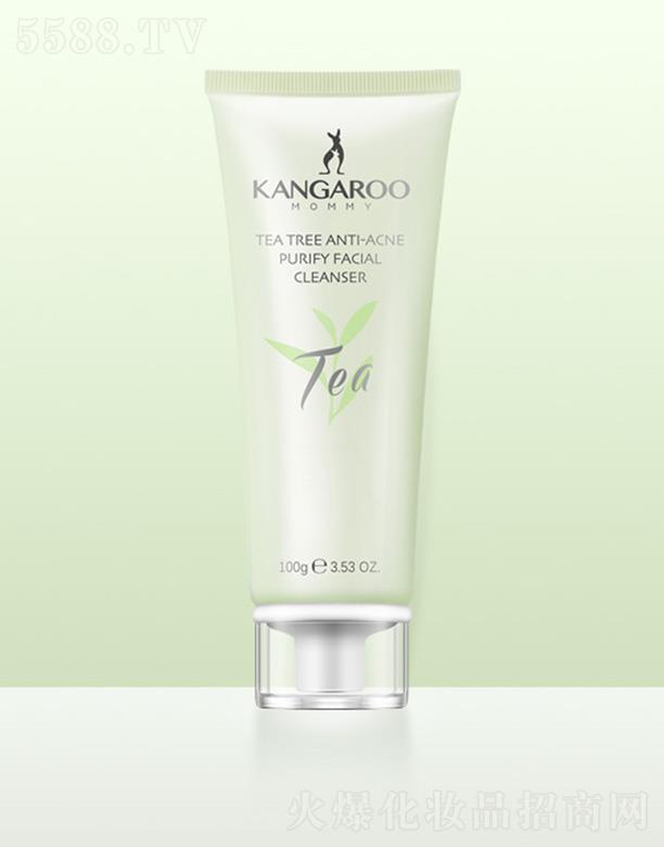 �V�ݐ������Ƽ����޹�˾�����󋌋�������嶻������ 100g�غ͝�����Ȼ���m��ĭ�׼�