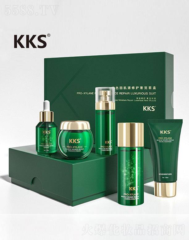 �V���в��ѻ��yƷ���޹�˾��KKS��ɫ��Դ�ޏ�������b