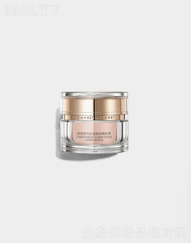 �����������H���yƷ���޹�˾��MorningFlower��͸���|ĥɰ��