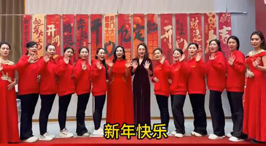 蛇年好運(yùn)至，幸福滿(mǎn)人間！飛斯達(dá)祝您百事從歡，一路向陽(yáng)！