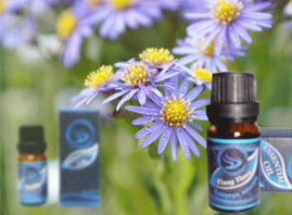 �Ϻ��ض���(gu��)�H�Q(m��o)�����޹�˾