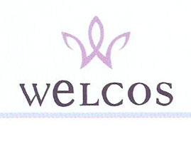 ���ݳ��L(zh��ng)���yƷ���޹�˾