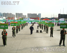 ټ��ďV��(ch��ng)��ֻ�л𱬻��yƷ���̾W(w��ng)�������(du��)��