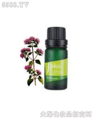 �ѳ��{����