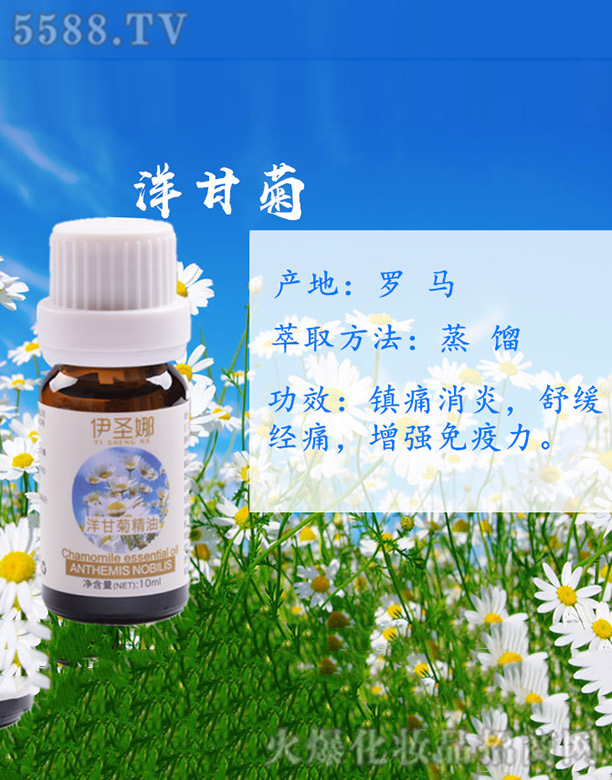 ��ʥ����ʾվ���