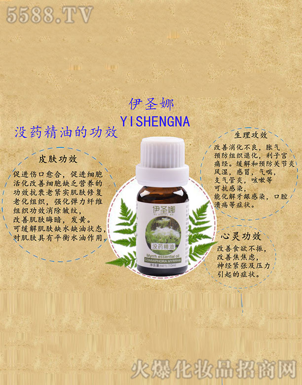 ��ʥ�ț]ˎ����