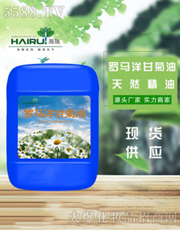 ������ʾվ���