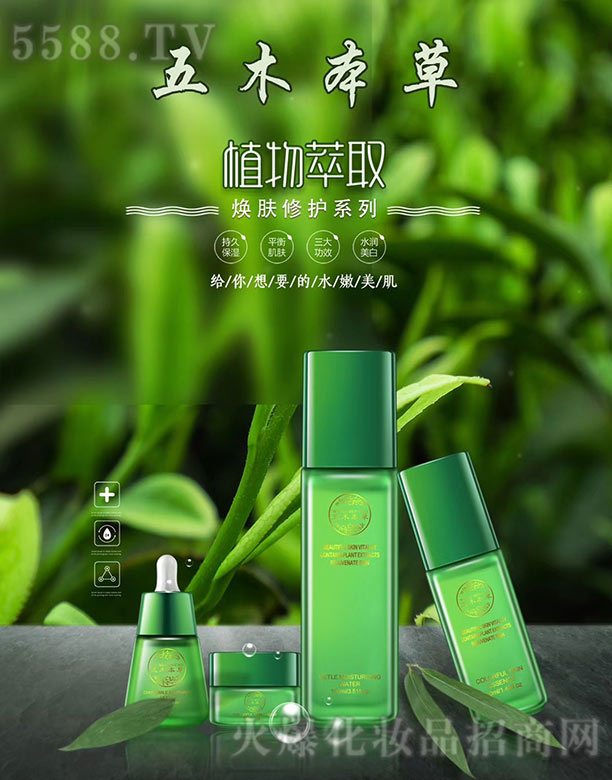 ��ľ���ݟ��w���o(h��)ϵ��