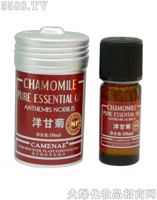 ���Ę���������ʾվ���