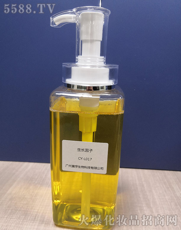 ���L����CY-L017