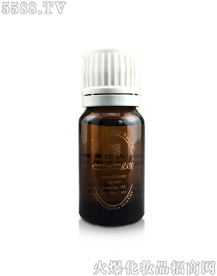 ���Z����޹�²ݾ���