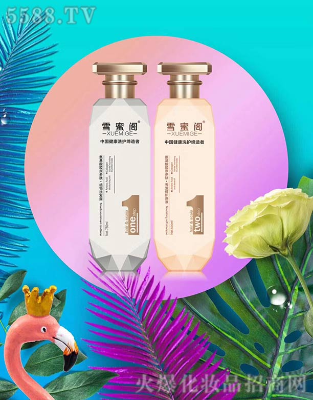 ѩ���w���b