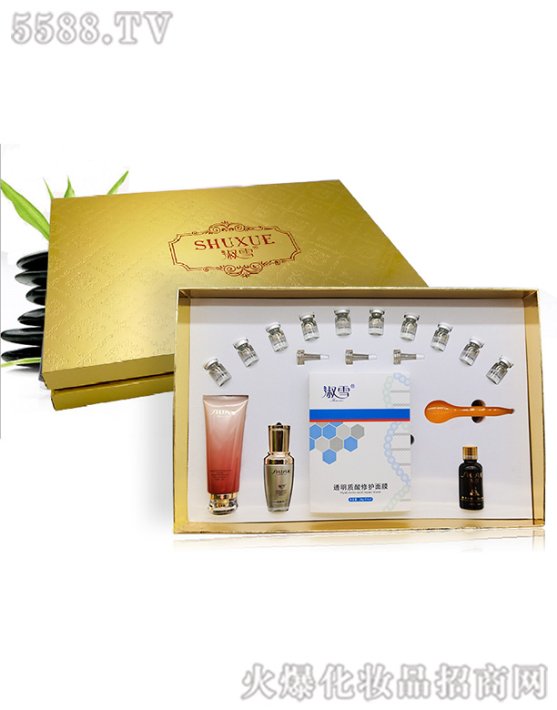 ��ѩ�沿�ν������