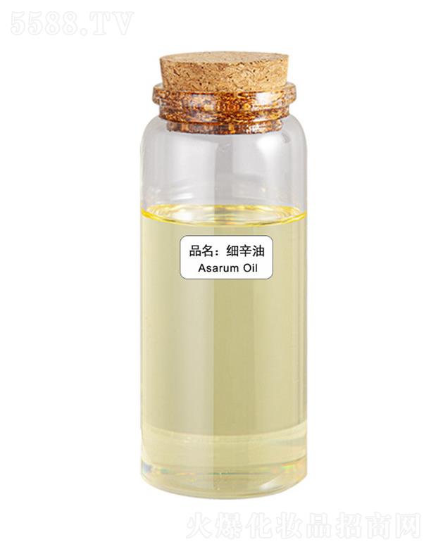 ɭ��������