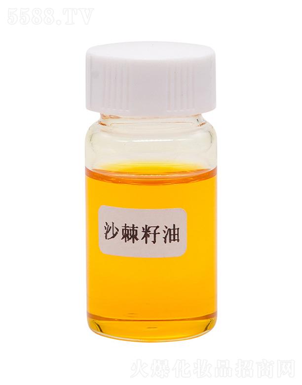 ��˹�ɳ������