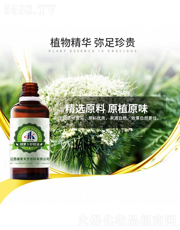 ���ұ��ݺ��}���Ѿ���