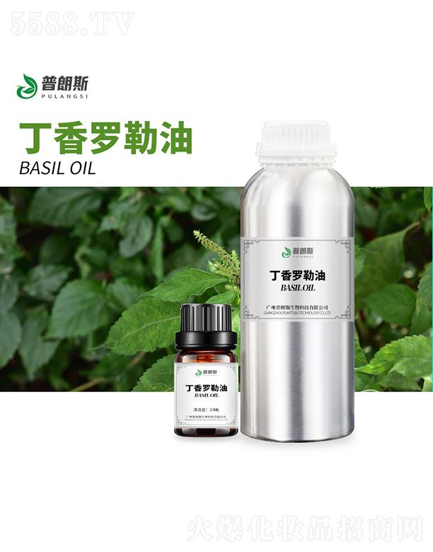 ����˹�����_����