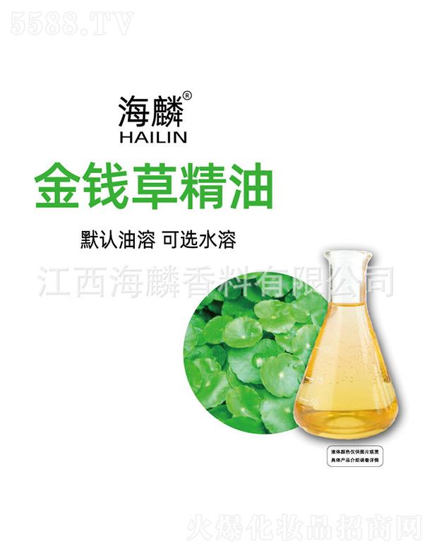 ������X(qi��n)�ݾ���