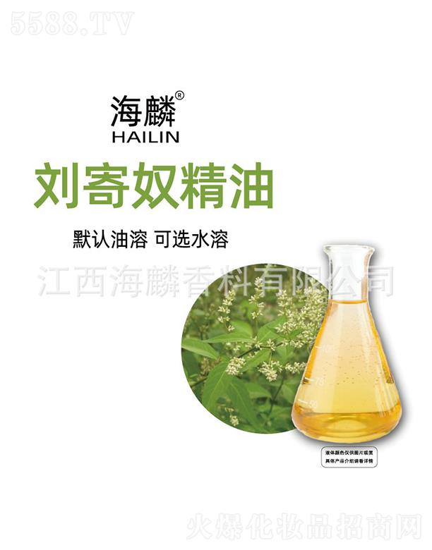 ���넢��ū����