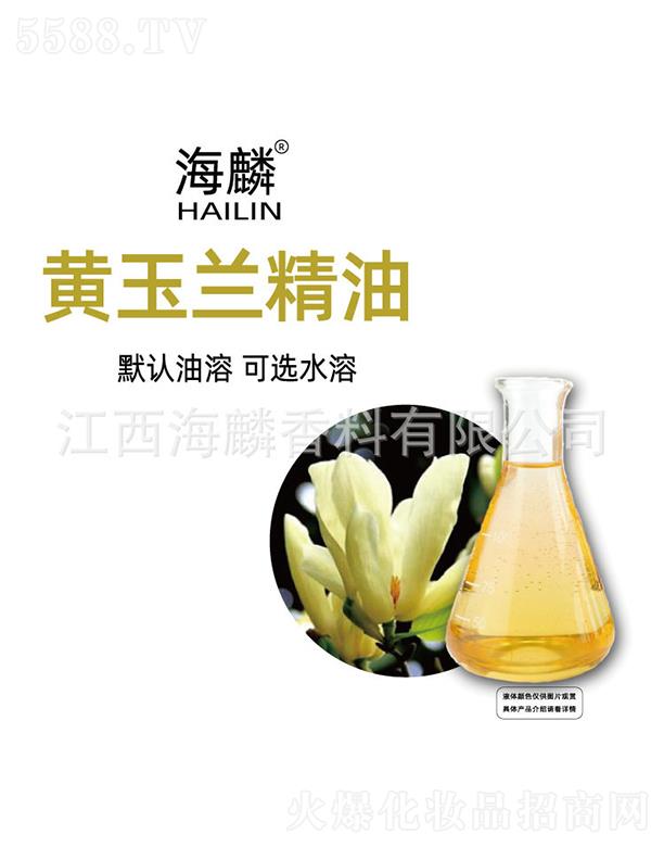 �����S���m����