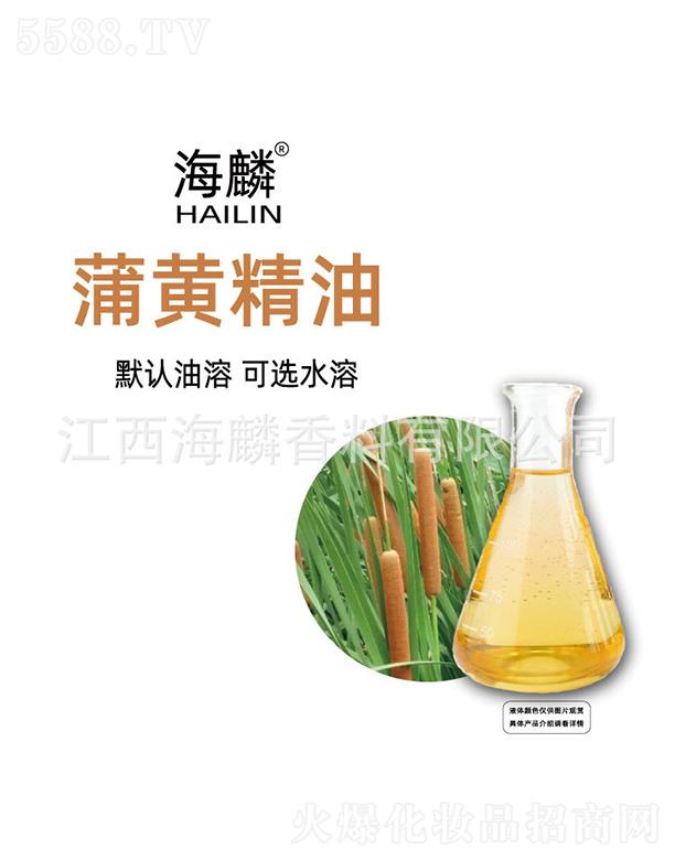 �������S����