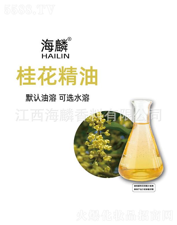 ����𻨾���