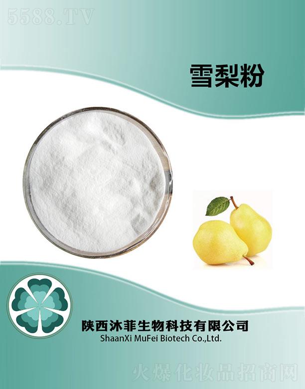 ���ѩ���