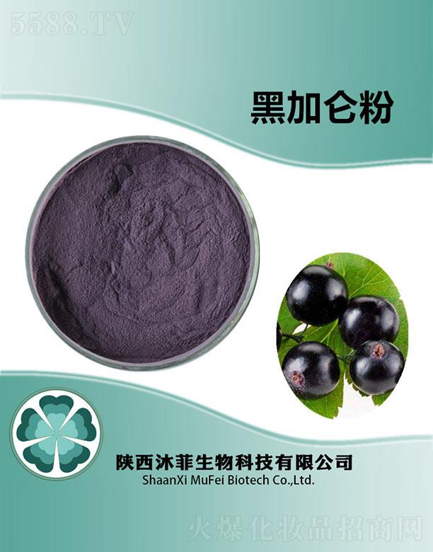 ��ƺڼӁ���