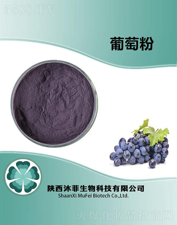 ������ѷ�