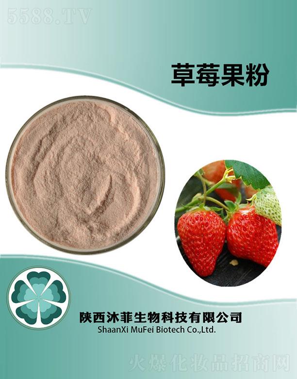 ��Ʋ�ݮ����