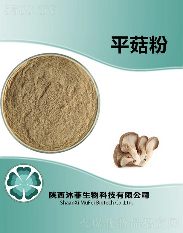 ���ƽ����