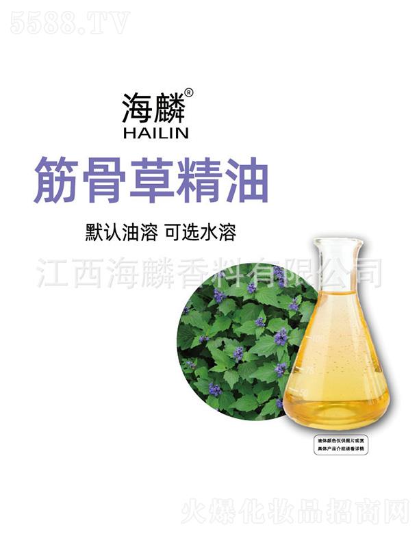 �����ǲݾ���