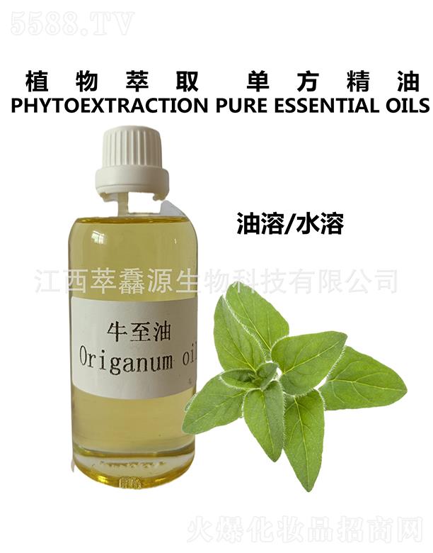 ���QԴţ����