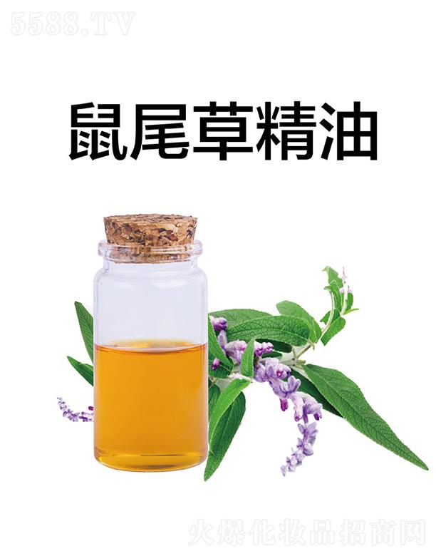 ������β�ݾ���