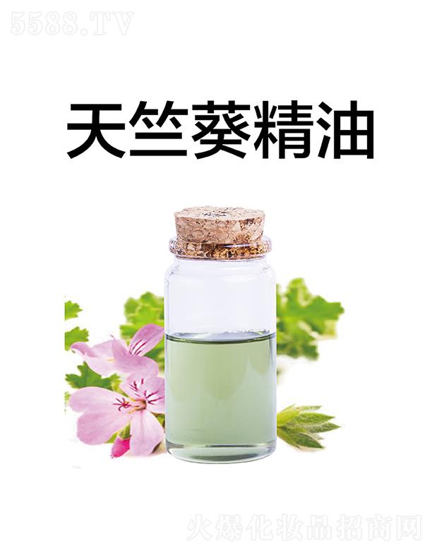 �������ÿ�����